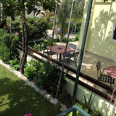 Apartments Simo Petrovac Bagian luar foto