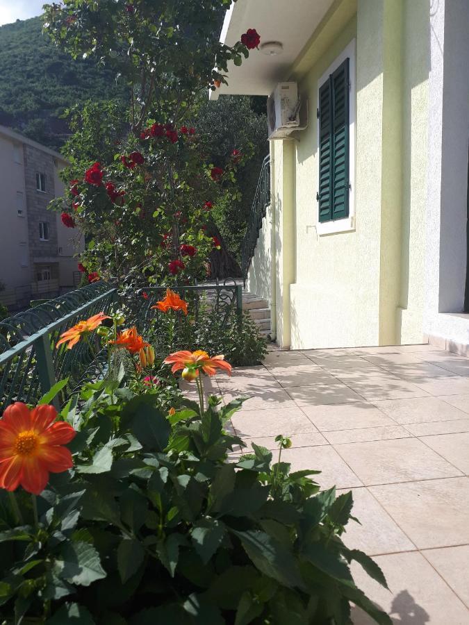 Apartments Simo Petrovac Bagian luar foto