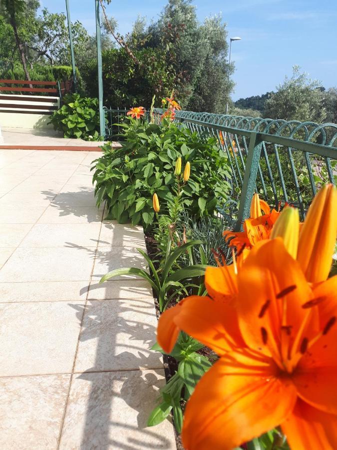 Apartments Simo Petrovac Bagian luar foto