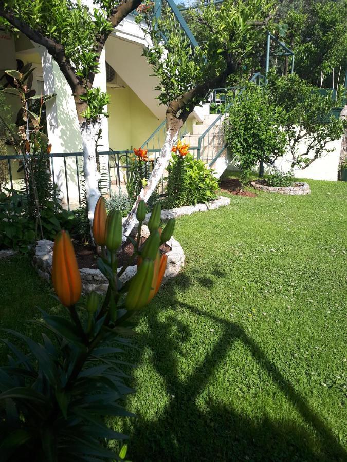 Apartments Simo Petrovac Bagian luar foto