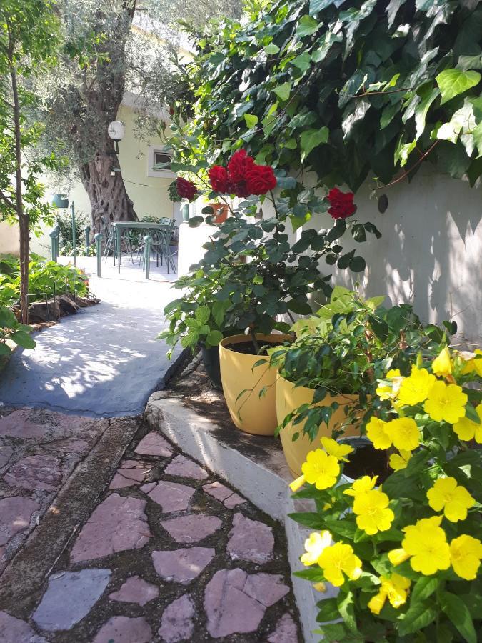 Apartments Simo Petrovac Bagian luar foto