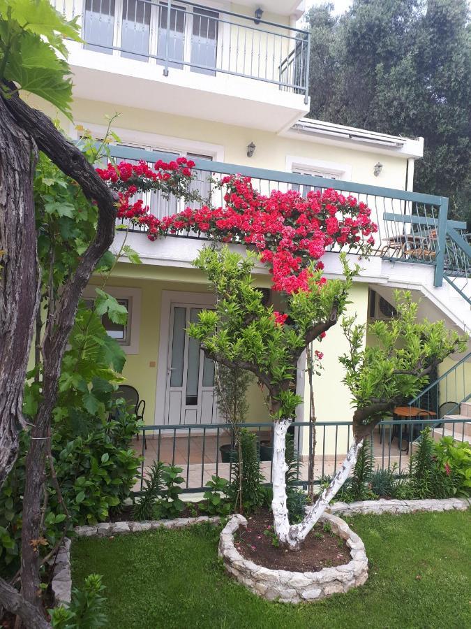 Apartments Simo Petrovac Bagian luar foto