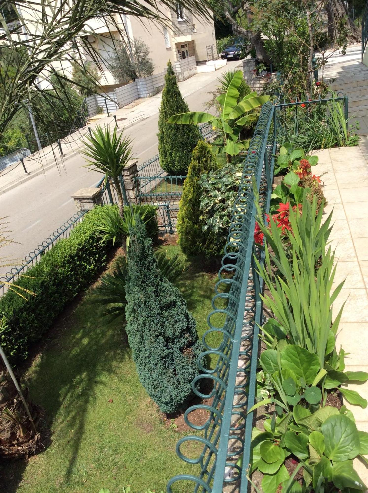 Apartments Simo Petrovac Bagian luar foto