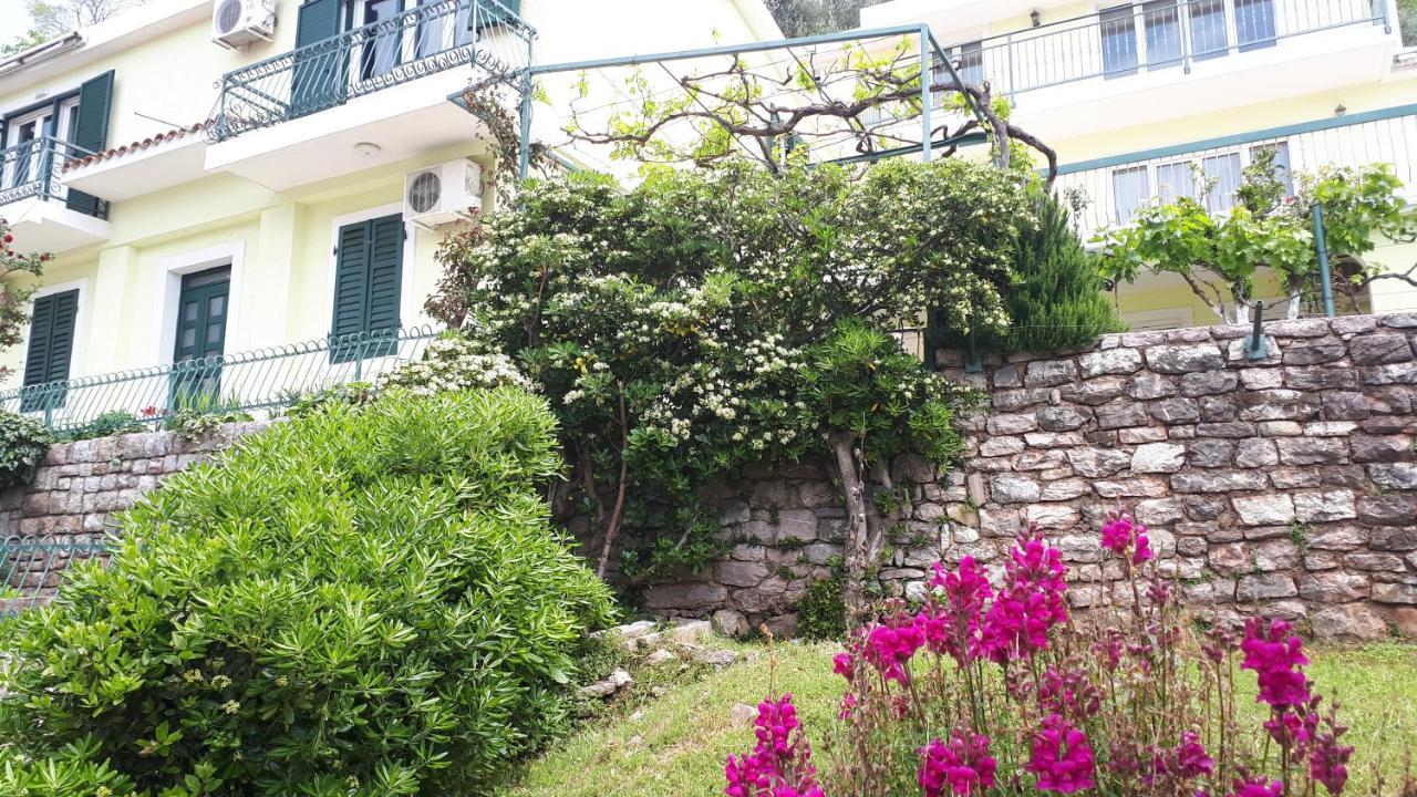 Apartments Simo Petrovac Bagian luar foto
