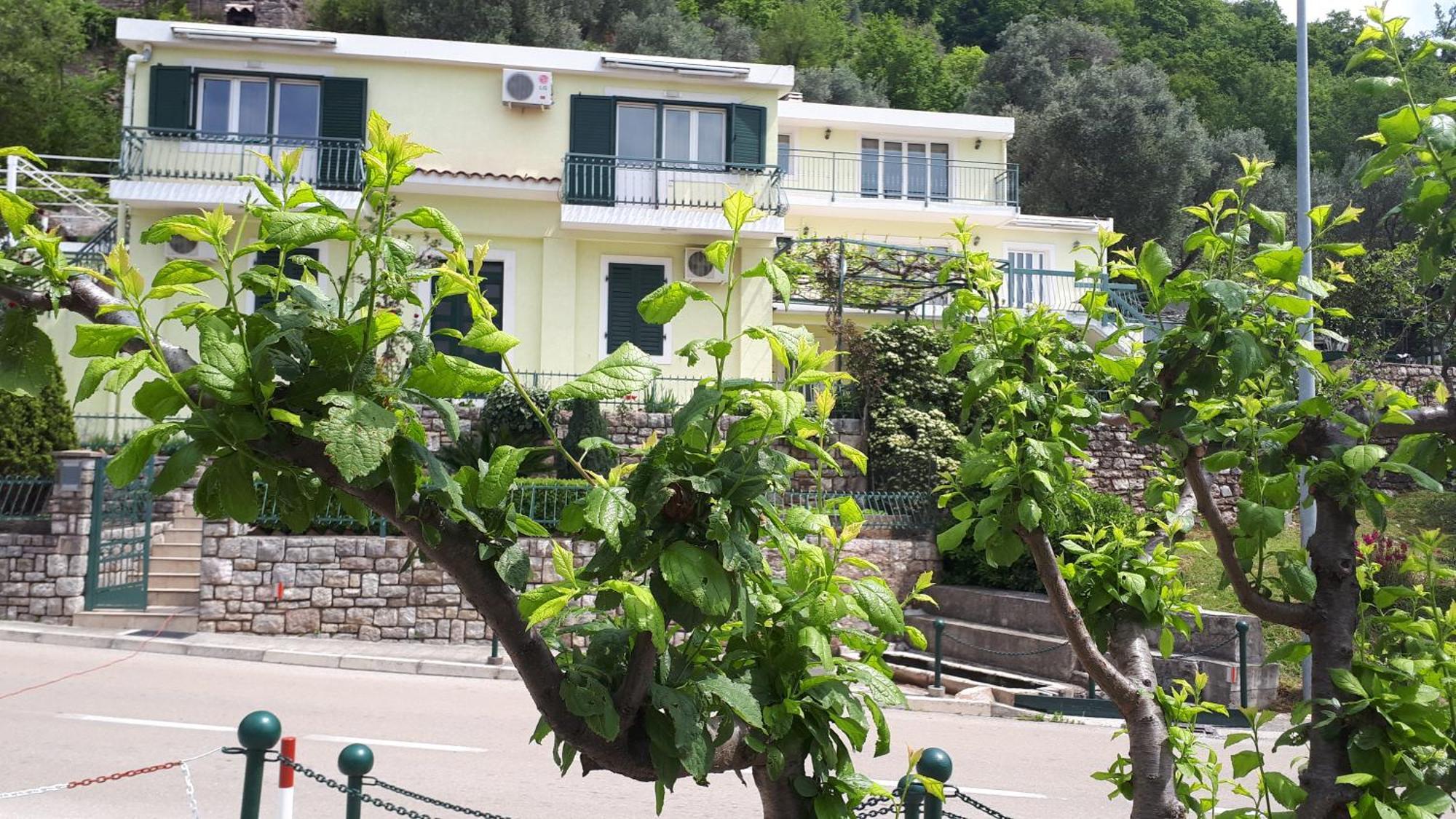 Apartments Simo Petrovac Bagian luar foto