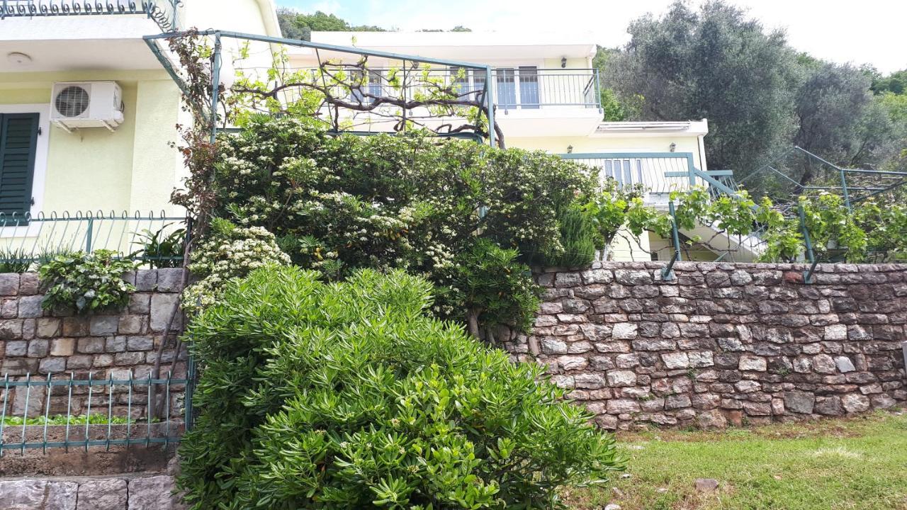Apartments Simo Petrovac Bagian luar foto